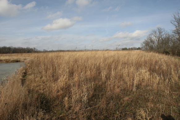 Full Size Image = 1950 K