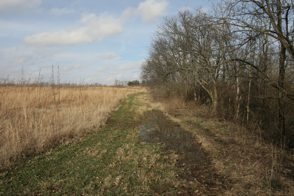 Full Size Image = 2225 K