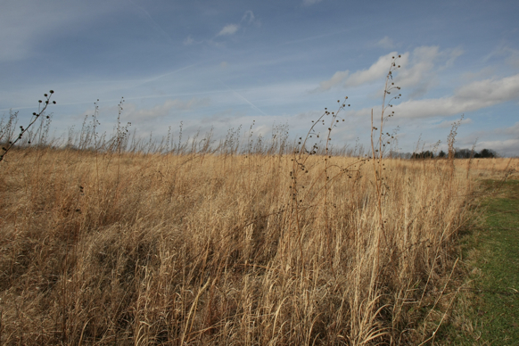 Full Size Image = 2002 K