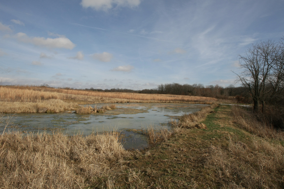 Full Size Image = 1753 K