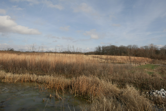 Full Size Image = 1637 K