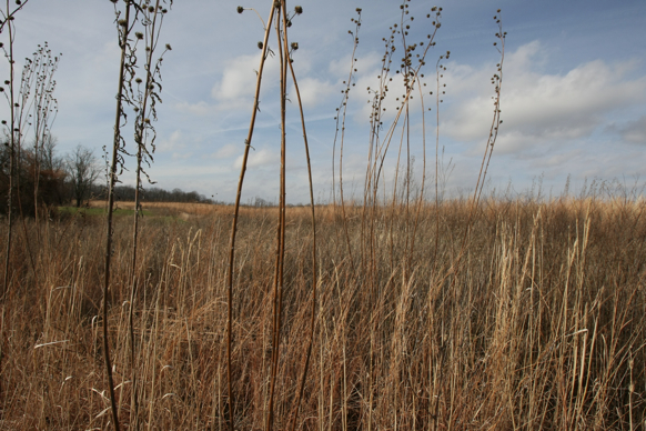 Full Size Image = 2023 K