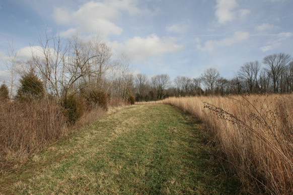 Full Size Image = 2134 K