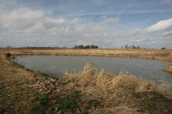 Full Size Image = 1716 K