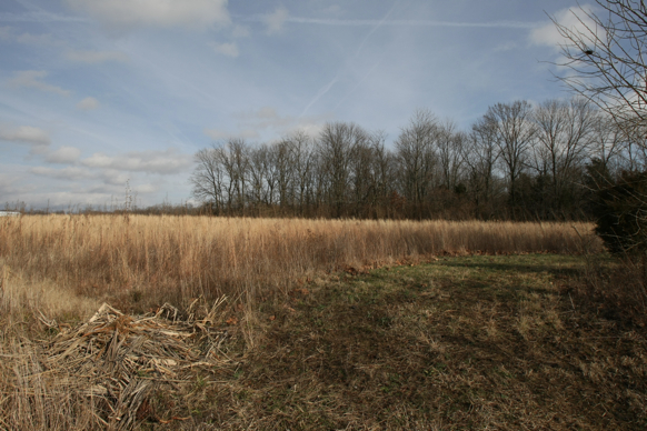 Full Size Image = 1969 K