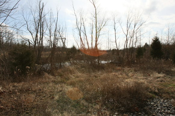 Full Size Image = 2244 K