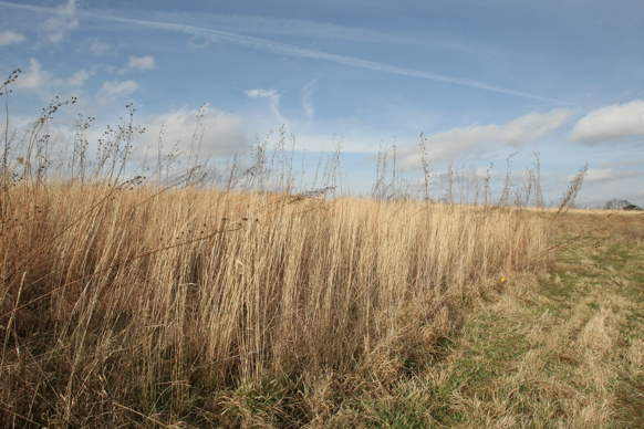 Full Size Image = 2127 K