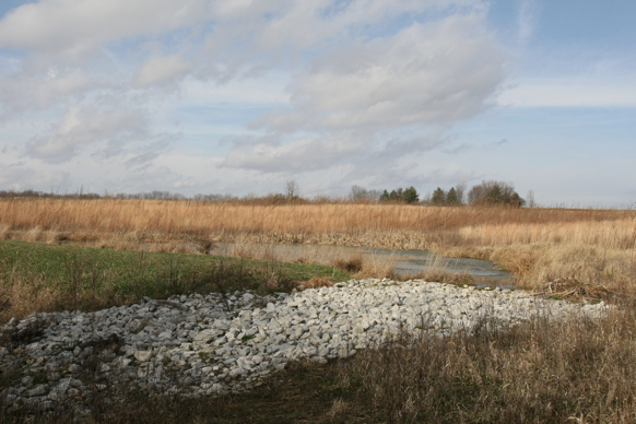 Full Size Image = 1626 K