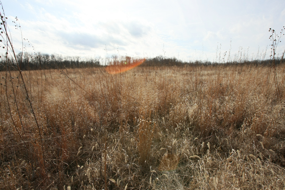 Full Size Image = 2235 K