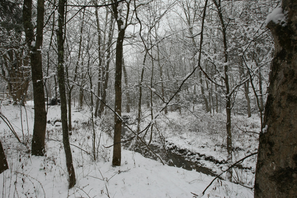 Full Size Image = 3015 K