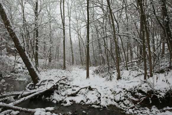 Full Size Image = 2815 K