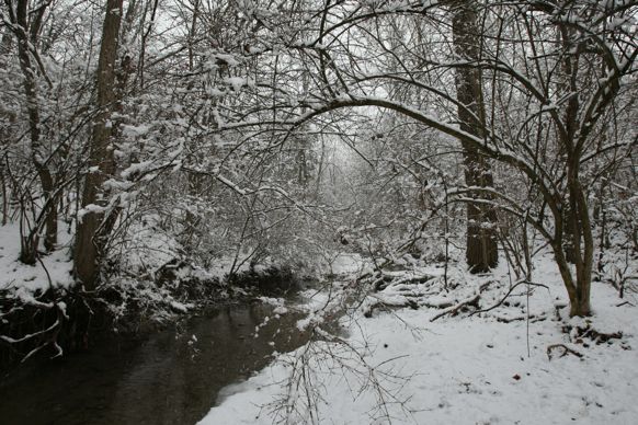 Full Size Image = 3102 K