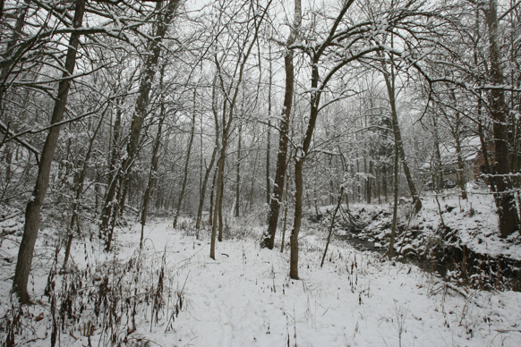 Full Size Image = 3407 K