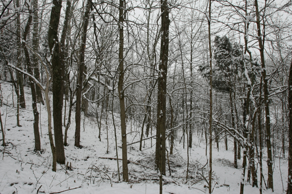 Full Size Image = 3285 K