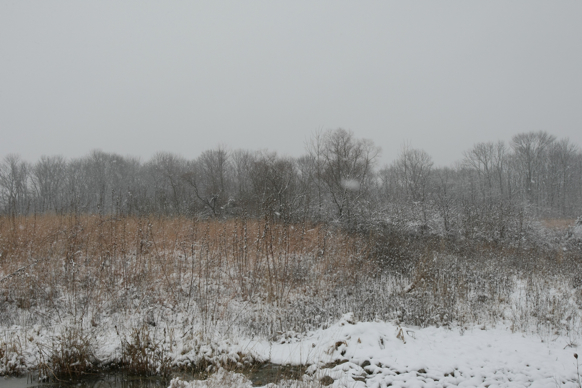 Full Size Image = 2007 K