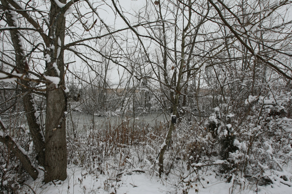 Full Size Image = 3352 K