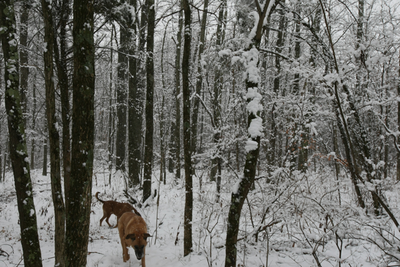 Full Size Image = 2947 K