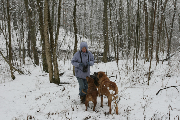 Full Size Image = 2601 K