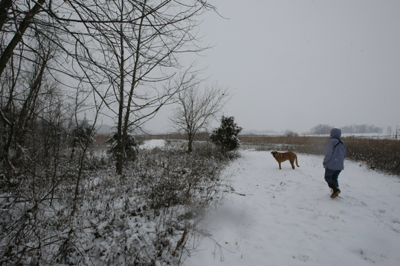 Full Size Image = 2194 K