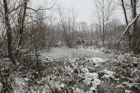 Full Size Image = 3378 K