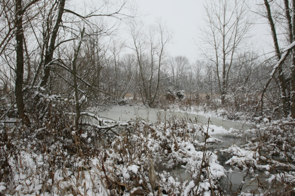 Full Size Image = 2553 K