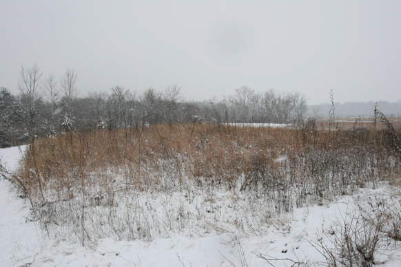 Full Size Image = 2200 K