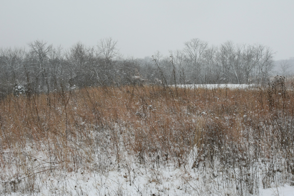 Full Size Image = 2700 K