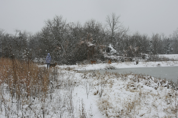 Full Size Image = 2573 K