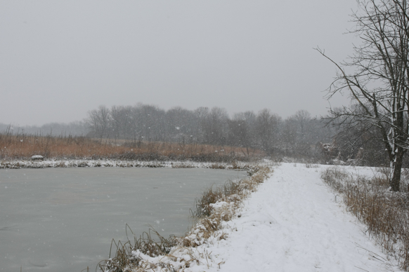 Full Size Image = 1632 K