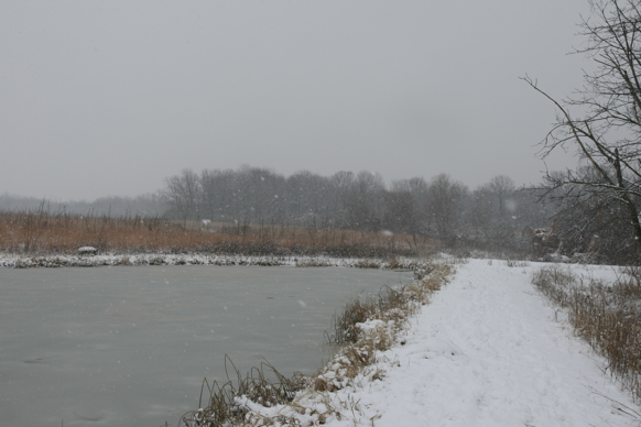 Full Size Image = 1497 K