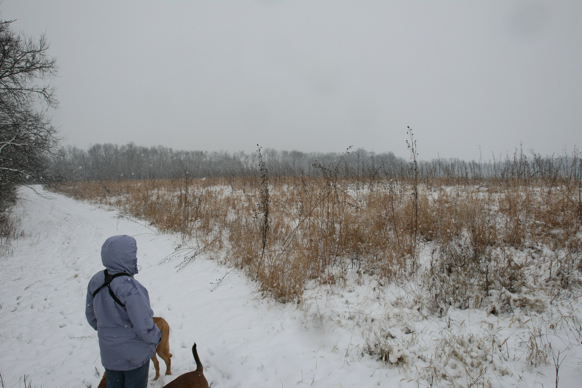 Full Size Image = 1876 K