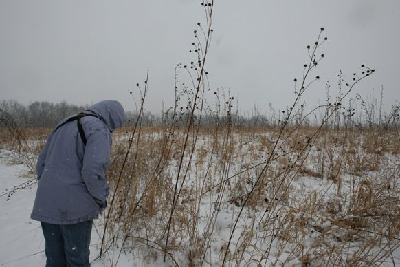 Full Size Image = 2174 K