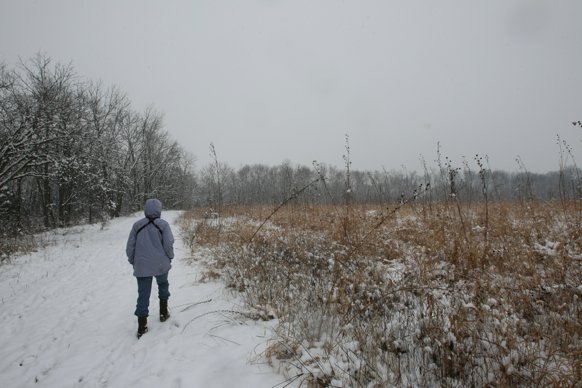 Full Size Image = 2064 K