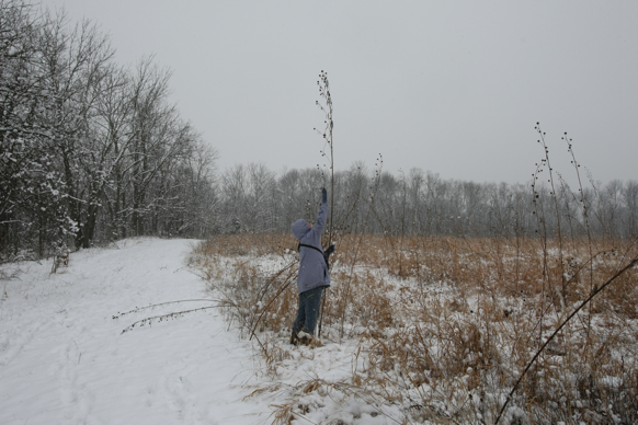 Full Size Image = 2171 K