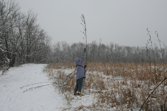 Full Size Image = 2238 K