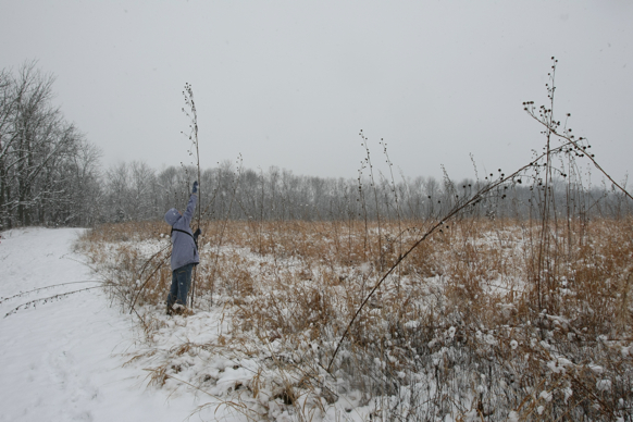 Full Size Image = 2222 K