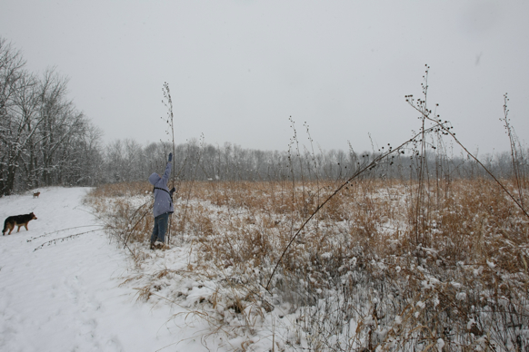 Full Size Image = 2183 K