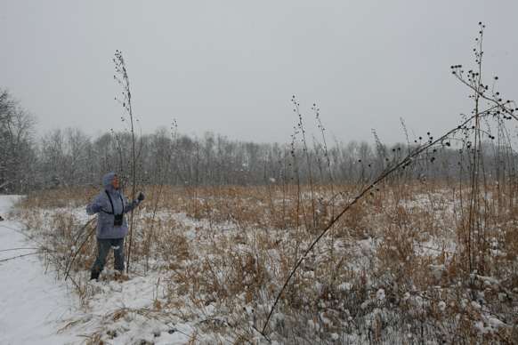 Full Size Image = 2298 K