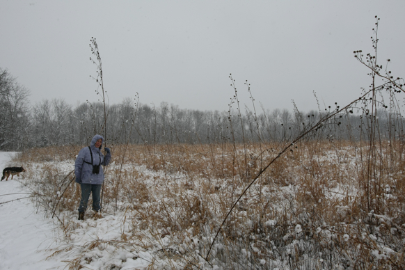 Full Size Image = 2298 K