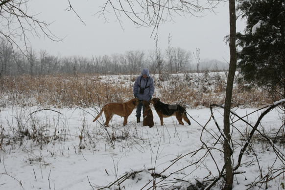 Full Size Image = 2328 K