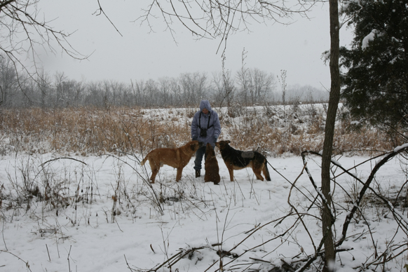 Full Size Image = 2307 K