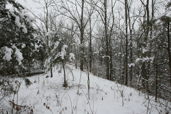 Full Size Image = 3176 K