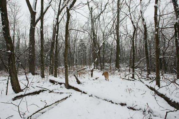 Full Size Image = 3002 K