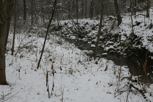 Full Size Image = 2440 K