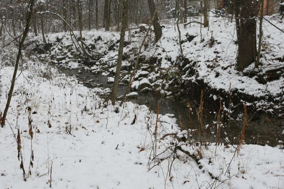 Full Size Image = 2588 K