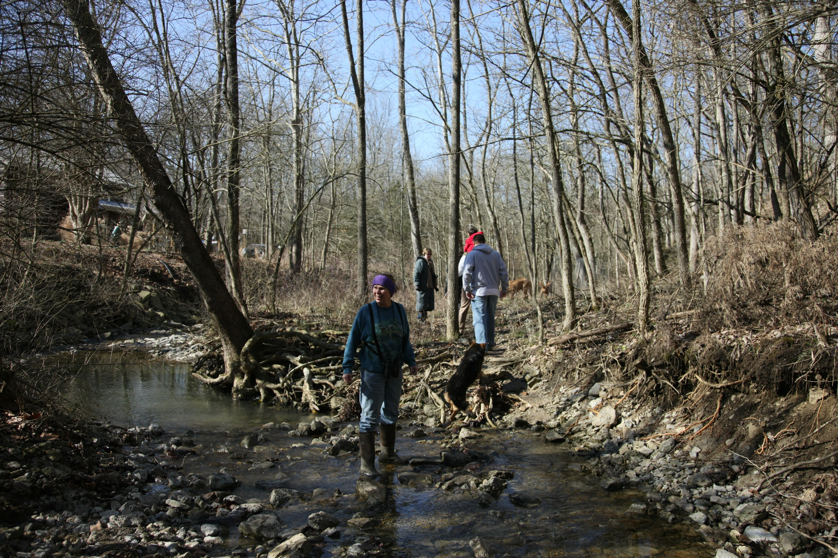 Full Size Image = 6449 K