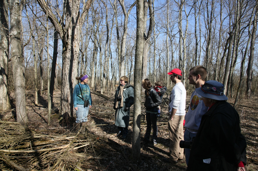 Full Size Image = 6934 K