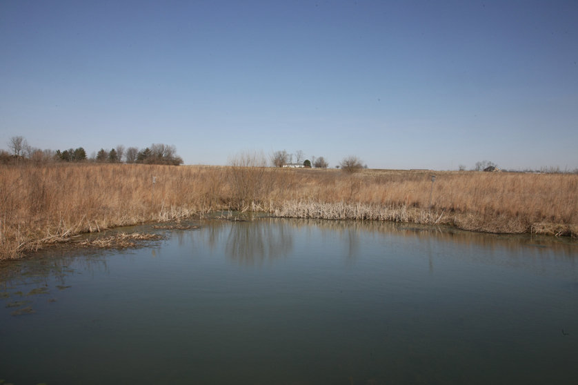 Full Size Image = 3259 K