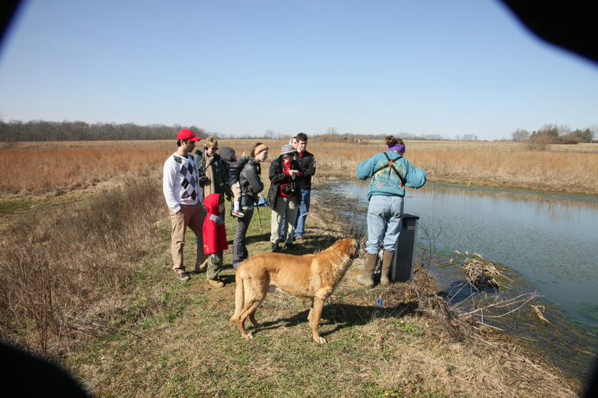 Full Size Image = 5384 K