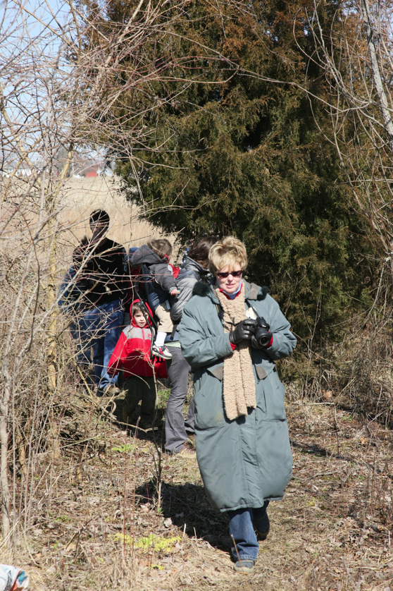 Full Size Image = 6673 K